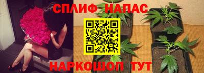 альфа пвп Новокубанск