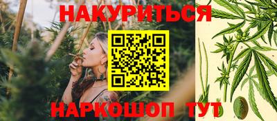дмт Новозыбков