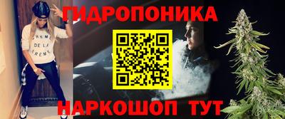 дмт Новозыбков